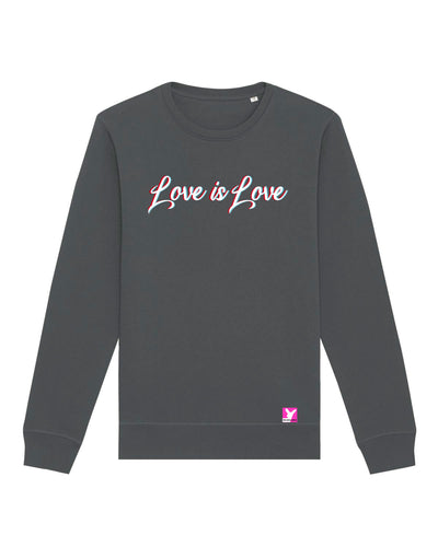 Queer-LSBTI-Pride-CSD_Gay-Bio-Damen-Sweatshirt-Roller_Anthracite