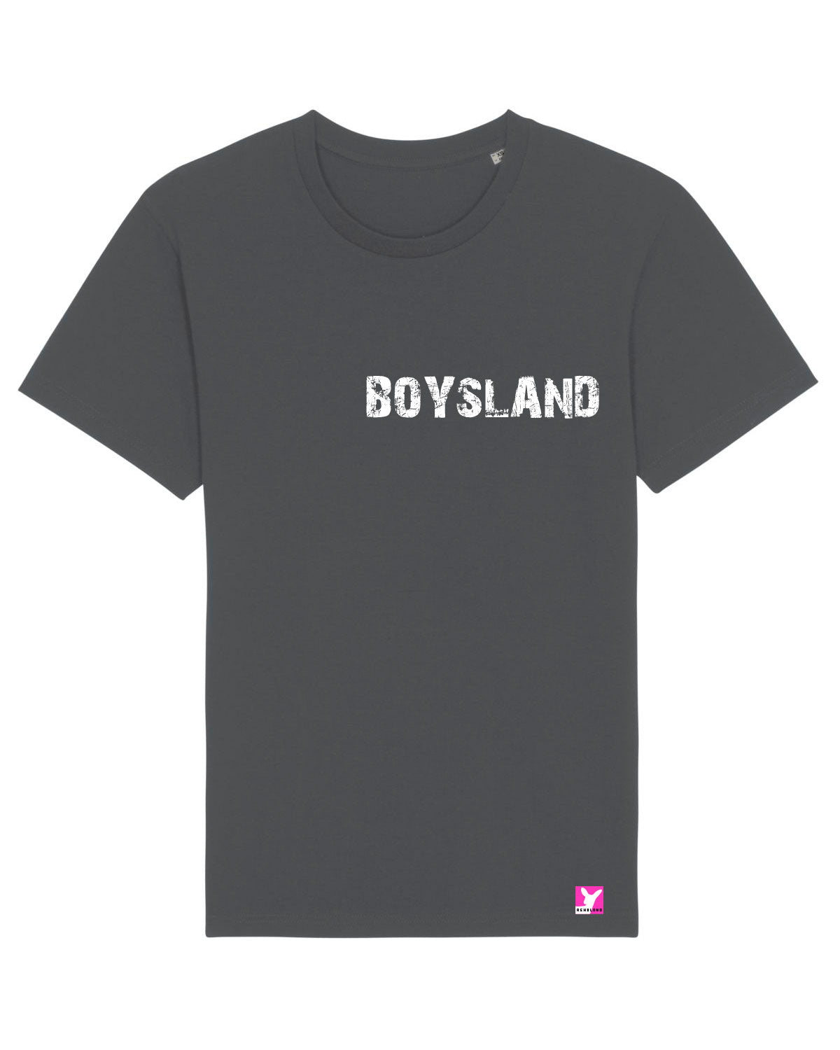 Queer-LSBTI-Pride-CSD_Gay-Bio-Damen-TShirt-Rocker_Anthracite