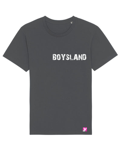 Queer-LSBTI-Pride-CSD_Gay-Bio-Damen-TShirt-Rocker_Anthracite