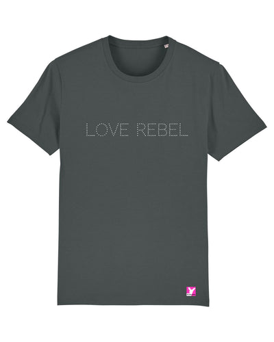 Queer-LSBTI-Pride-CSD_Gay-Bio-Herren-TShirt-Creator_Anthracite