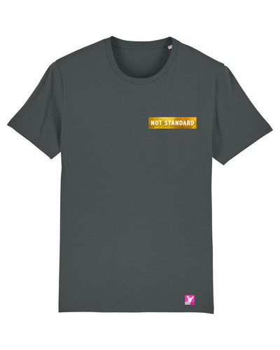 Queer-LSBTI-Pride-CSD_Gay-Bio-Herren-TShirt-Creator_Anthracite